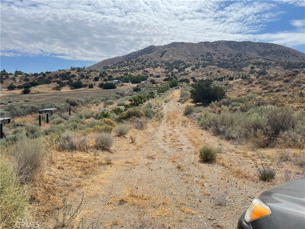 MLS #SR26174386 image #11