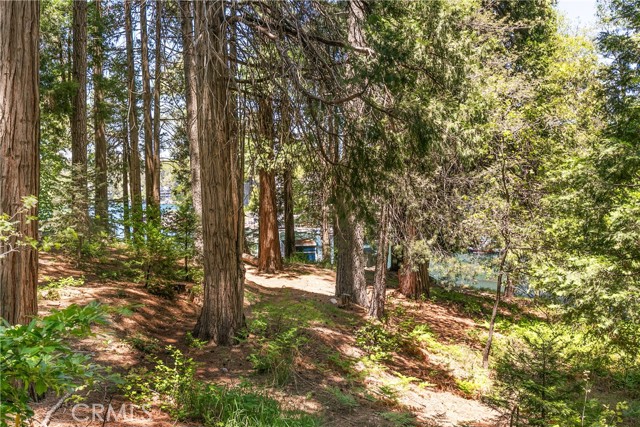 187 Cedar Circle Circle, Lake Arrowhead CA: https://media.crmls.org/medias/83e41520-0c2f-4e08-9771-297442c4a39c.jpg