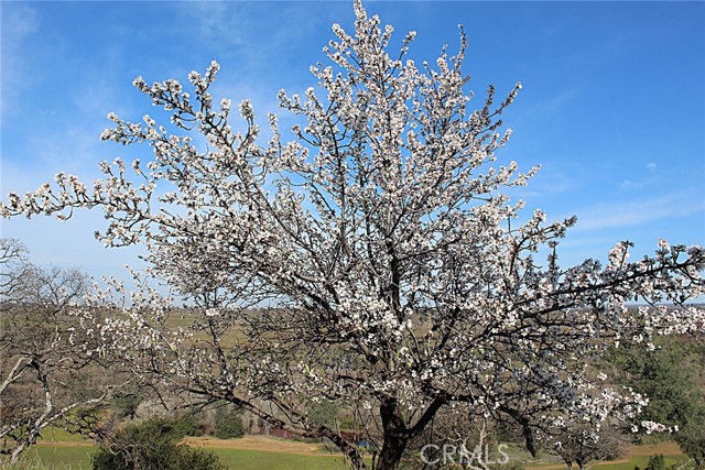 Detail Gallery Image 4 of 15 For 0 Rim Rock, Chico,  CA 95928 - – Beds | – Baths