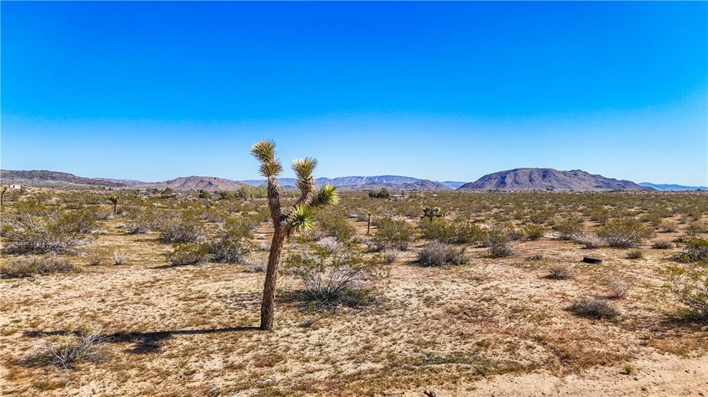 MLS #JT25078936 image #27