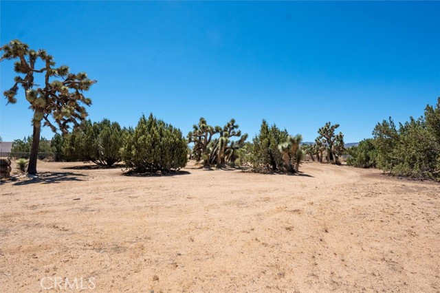 2056 W Avenue O, Palmdale CA: https://media.crmls.org/medias/83e709d5-c857-43db-a278-436d71525f14.jpg