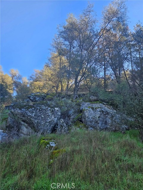 Detail Gallery Image 49 of 49 For 50814 Road 200, O Neals,  CA 93645 - 3 Beds | 3 Baths