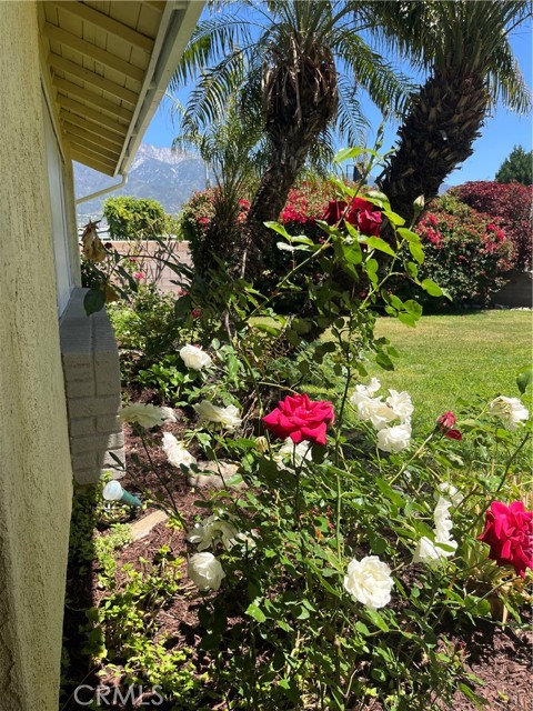 Detail Gallery Image 6 of 40 For 7320 Ramona Ave, Rancho Cucamonga,  CA 91730 - 4 Beds | 2 Baths