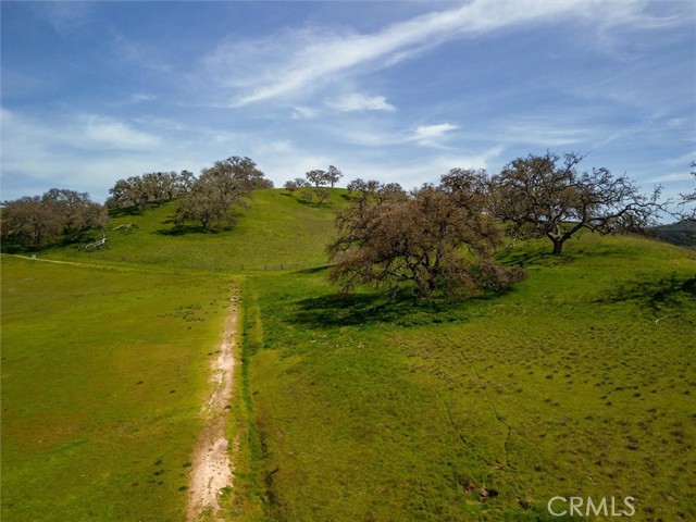 Detail Gallery Image 35 of 43 For 2841 Black Horse Lane, Paso Robles,  CA 93446 - 3 Beds | 2/1 Baths