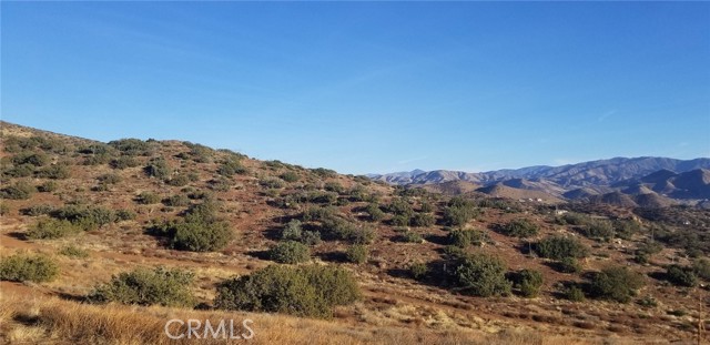 0 Rolandee Street, Acton CA: https://media.crmls.org/medias/83ec0135-1a80-4cdb-954f-e7cc6050d5c1.jpg