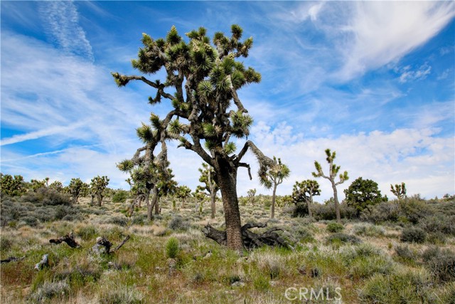 Detail Gallery Image 10 of 32 For 26 Vista Rd, Pioneertown,  CA 92356 - – Beds | – Baths