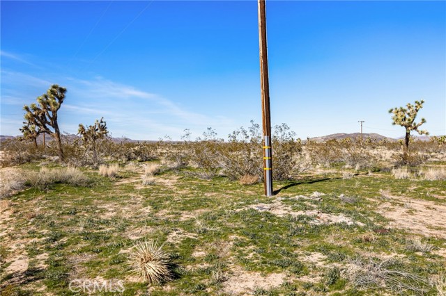 Detail Gallery Image 35 of 51 For 0 Gibraltar, Landers,  CA 92285 - – Beds | – Baths