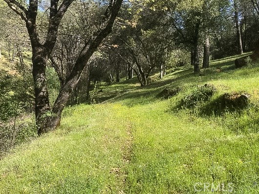 Detail Gallery Image 3 of 43 For 4743 Buffalo Gulch Rd, Midpines,  CA 95345 - – Beds | – Baths