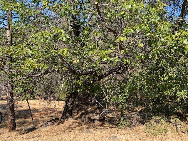 17699 Deer Hill, Hidden Valley Lake, CA, 95467 17699 Deer Hill, Hidden Valley Lake, CA, 95467