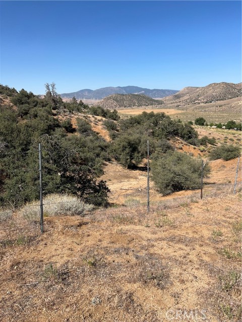 Detail Gallery Image 5 of 21 For 0 Pine Grove Dr, Tehachapi,  CA 93561 - – Beds | – Baths