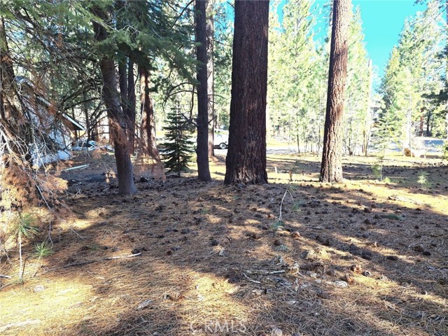 Detail Gallery Image 2 of 19 For 1662 Maiden Hair Ct, South Lake Tahoe,  CA 96150 - – Beds | – Baths