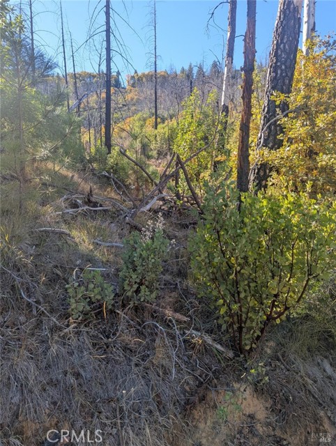 Detail Gallery Image 14 of 38 For 1833 Hunter Point Rd, Upper Lake,  CA 95485 - – Beds | – Baths