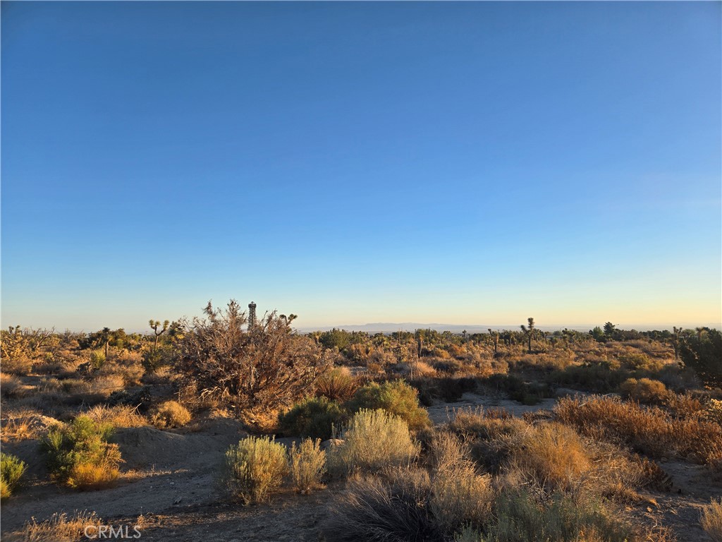 MLS #CV25185875 image #5