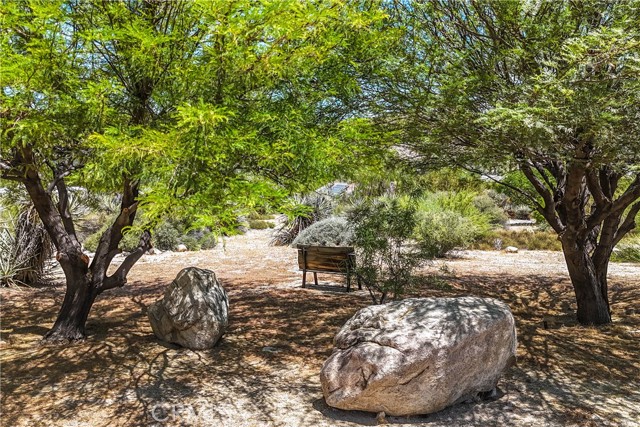 Detail Gallery Image 43 of 61 For 48910 Hibiscus Dr, Morongo Valley,  CA 92256 - 3 Beds | 3 Baths