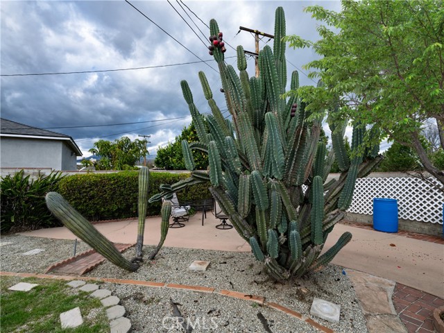 Detail Gallery Image 23 of 58 For 1238 N College, Ontario,  CA 91764 - 3 Beds | 2 Baths