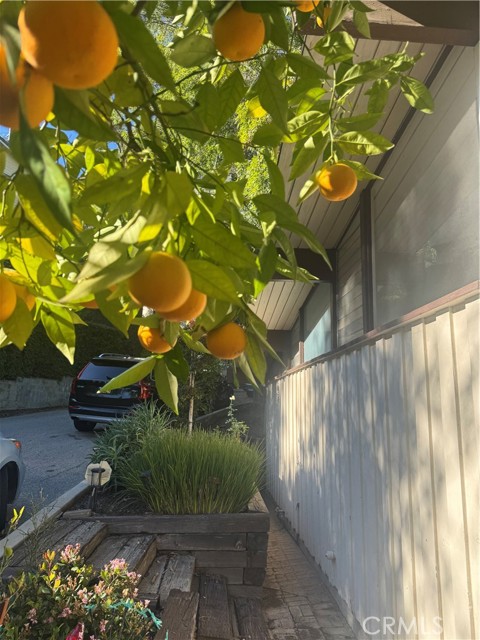 Detail Gallery Image 42 of 47 For 11551 Decente, Studio City,  CA 91604 - 2 Beds | 2 Baths