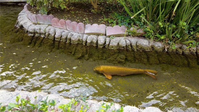 Detail Gallery Image 4 of 9 For 10601 Lakeside Dr #244,  Garden Grove,  CA 92840 - 2 Beds | 2 Baths