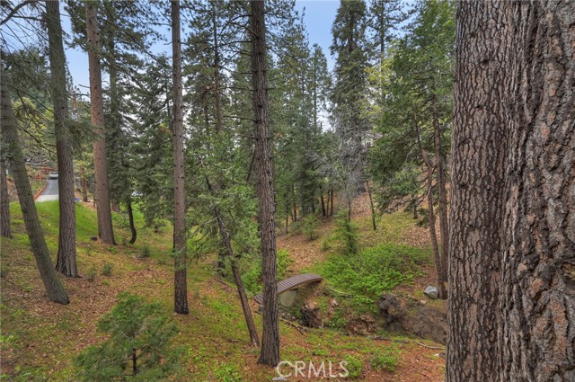 2358 Rim Of The World, Running Springs, CA 92382