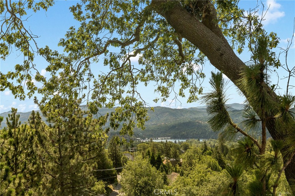 https://media.crmls.org/medias/842768e1-5974-4964-8256-b374f480d863.jpg?preset=X-Large