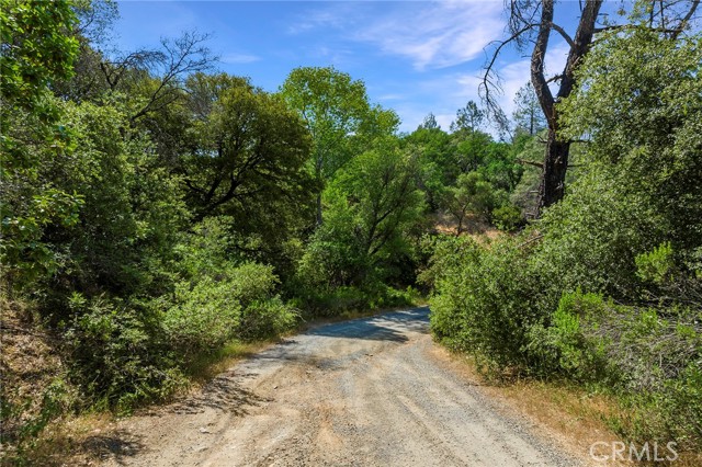 0 Rich Gulch Road, Yankee Hill, California 95965, ,Land,For Sale,0 Rich Gulch Road,CRSN23101845