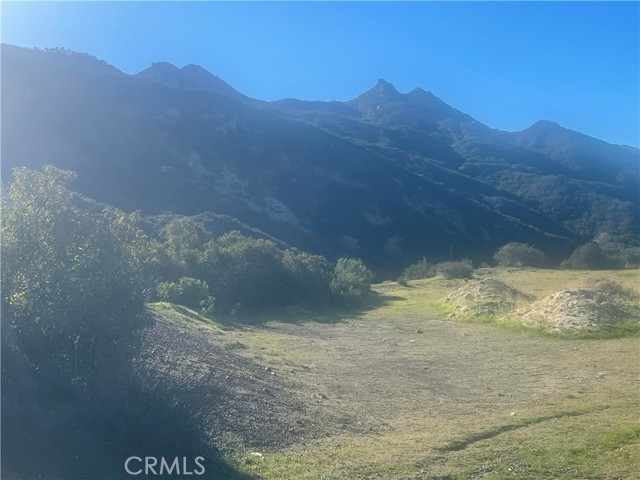 Detail Gallery Image 12 of 16 For 25066 Mulholland Hwy, Calabasas,  CA 91302 - – Beds | – Baths