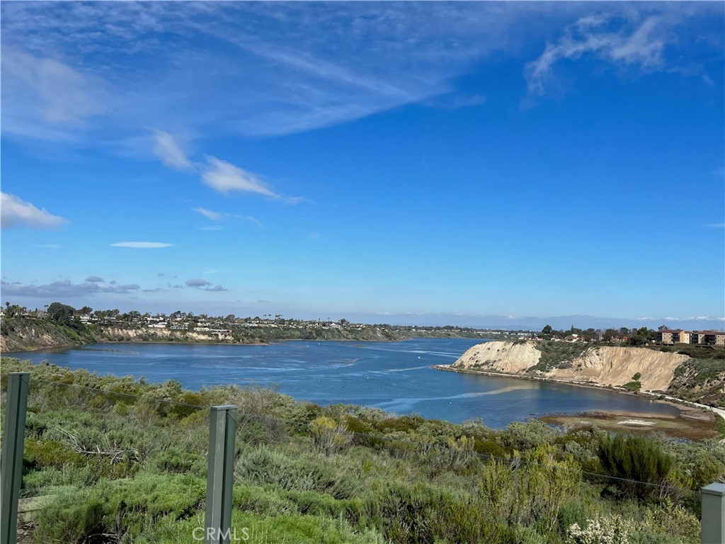 MLS #NP25183953 img 49