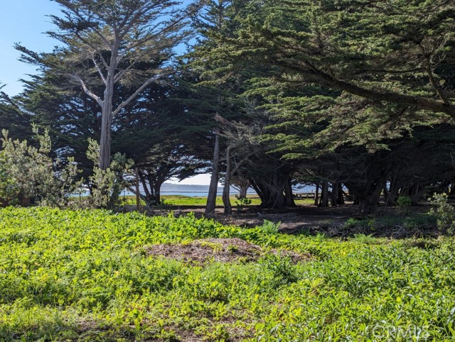 121 Magellan Avenue, Half Moon Bay CA: https://media.crmls.org/medias/8434c96a-a7a6-4f99-bac9-6fdbc37c1abd.jpg