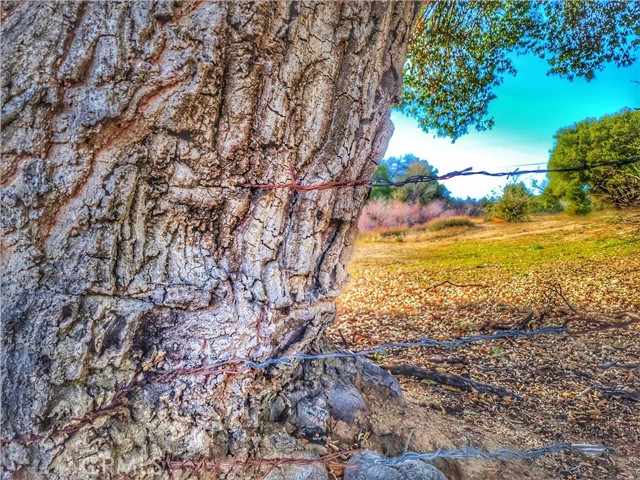 26068 25550 San Felipe Road, Warner Springs CA: https://media.crmls.org/medias/84379781-4074-49ec-8803-1a4fb3e87d53.jpg