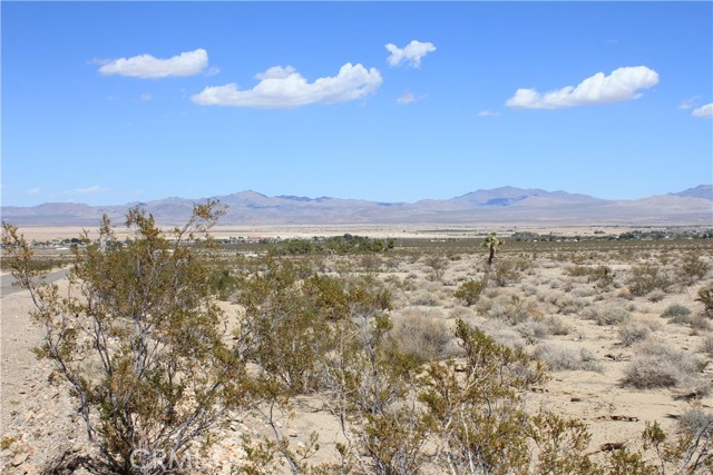 769 Meridian Road, Lucerne Valley CA: https://media.crmls.org/medias/8439a4b8-49cb-4a03-bec7-f5c94097e5f5.jpg