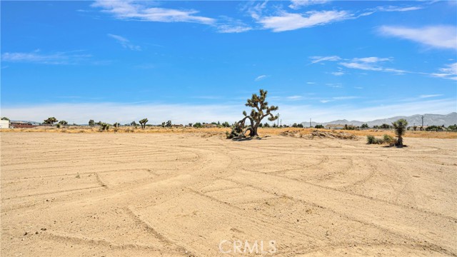 Detail Gallery Image 31 of 41 For 8929 Yucca Terrace Dr, Phelan,  CA 92371 - 4 Beds | 3 Baths