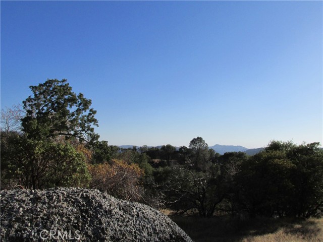 Detail Gallery Image 19 of 54 For 2 Ac Old Oaks Ct, North Fork,  CA 93643 - – Beds | – Baths