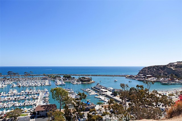 34110 Selva Road, Dana Point CA: https://media.crmls.org/medias/8458db18-0670-4788-81c3-888cf7fc3028.jpg