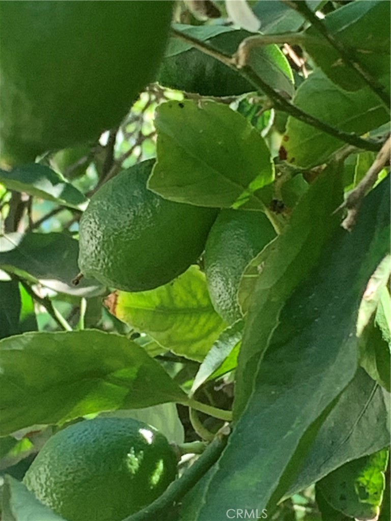 https://media.crmls.org/medias/845be685-1d6e-4fc3-9891-6f27d8736b2c.jpg?preset=X-Large