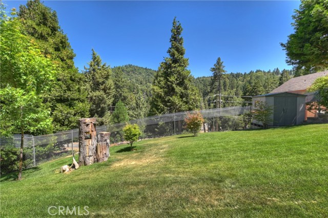 Grassed and fenced Back yard