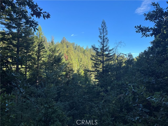 Detail Gallery Image 34 of 40 For 16125 Bittner Rd, Occidental,  CA 95465 - 4 Beds | 2 Baths