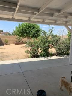 16994 Molino Drive, Victorville CA: https://media.crmls.org/medias/8467fff5-68b5-4a15-b8d0-22b84df9d4a4.jpg