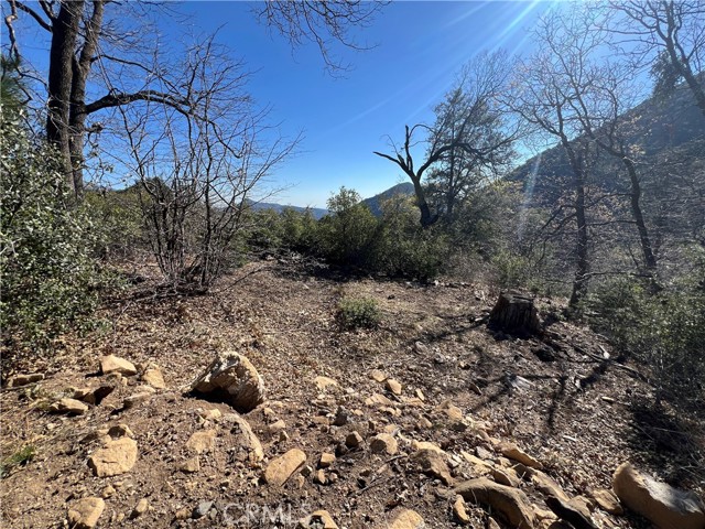 Detail Gallery Image 13 of 18 For 0 Ca-38, Angelus Oaks,  CA 92305 - – Beds | – Baths