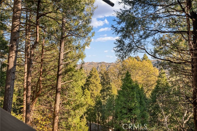 Detail Gallery Image 38 of 46 For 999 Mercury Way, Crestline,  CA 92325 - 4 Beds | 3/1 Baths