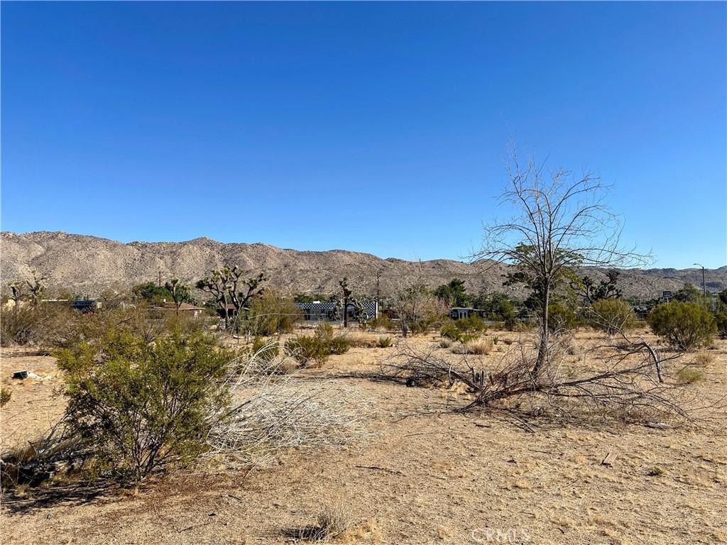 MLS #JT25176683 image #6