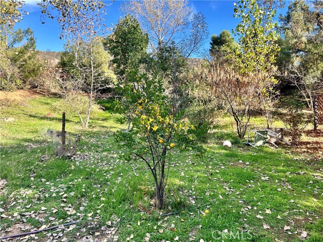 Detail Gallery Image 26 of 26 For 35780 Eureka Ave, Yucaipa,  CA 92399 - 6 Beds | 3 Baths