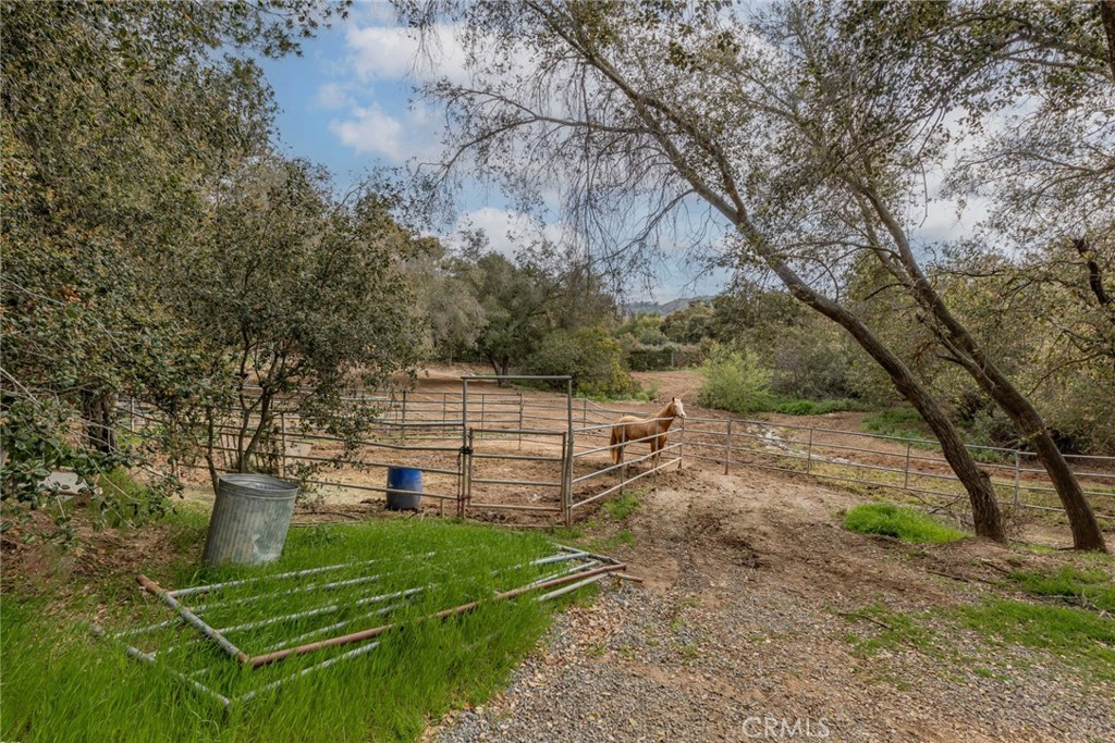 MLS #SW25105028 img 44