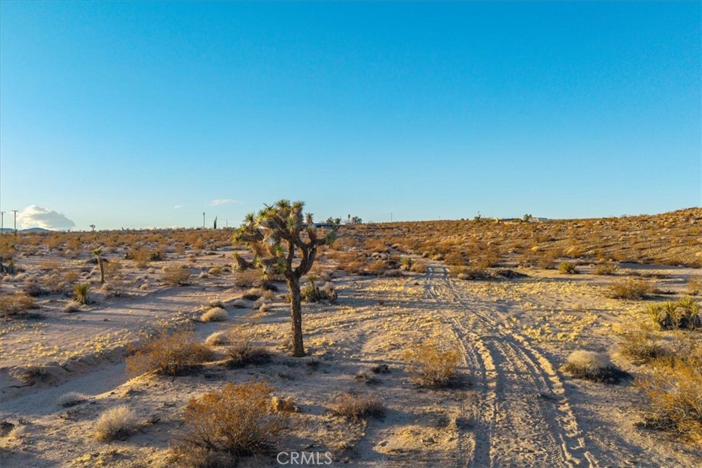 MLS #JT25223315 image #20