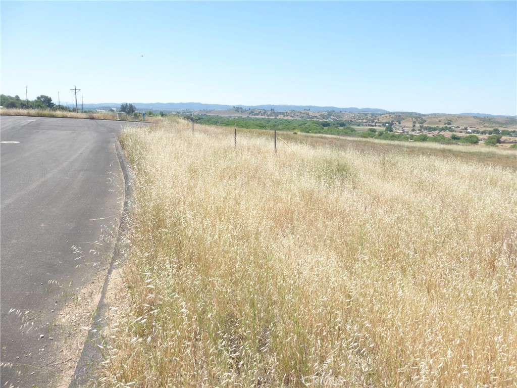 13105 River Bluffs (Lot 4) Lane