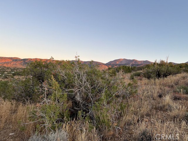 Detail Gallery Image 13 of 75 For 0 Vac/Vic Avenue Z/Vic 195 Ste, Llano,  CA 93544 - – Beds | – Baths