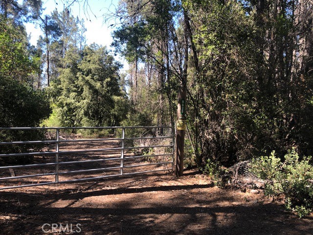 9625 Nancy, Kelseyville, CA, 95451 9625 Nancy, Kelseyville, CA, 95451