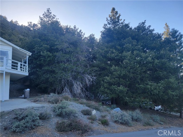 Detail Gallery Image 10 of 12 For 0 Desert View Ln, Wrightwood,  CA 92397 - – Beds | – Baths