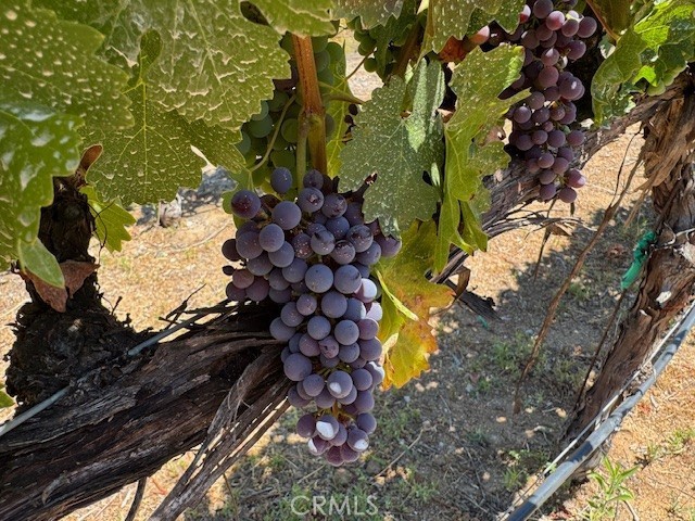 39547 Calle Cabernet, Temecula CA: https://media.crmls.org/medias/8484f597-f219-4196-af64-33c5a1e3144c.jpg