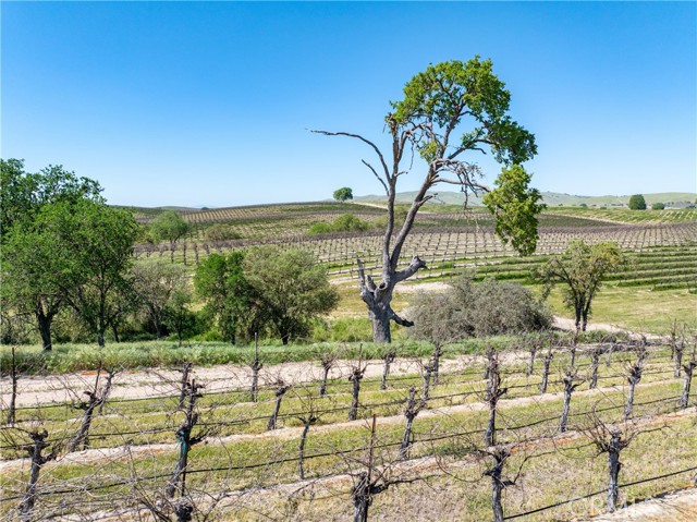 Detail Gallery Image 47 of 50 For 7310 Estrella Rd, San Miguel,  CA 93451 - – Beds | – Baths