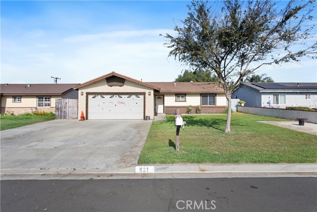 Front Image Thumbnail for CRWS26024887