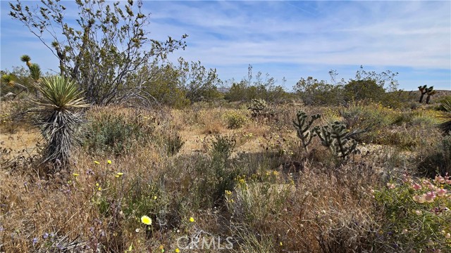 Detail Gallery Image 25 of 49 For 0 103rd St East Vicinity W14, –,  CA 93543 - – Beds | – Baths